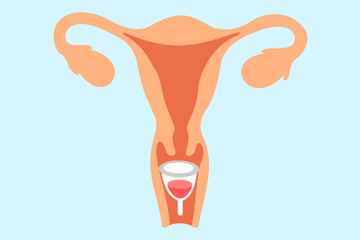Cervix Position: How To Measure Your Cervix